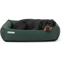 колір: зелений