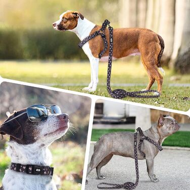 QQPETS Шлея для собак, нашийник і повідок 1,5 м, регульований, анти-заплутування, міцний, для цуценят, середніх і великих порід, не тягне