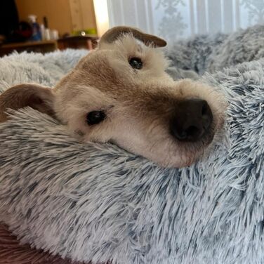 М'яке ліжко для собак знімний чохол 80 см - Ручна робота, пухнасте ліжко для собак, подушка для собак пухнаста - ліжко для котів, машинне прання - кругле ліжко для котів Бежеве 80 см Бежевий