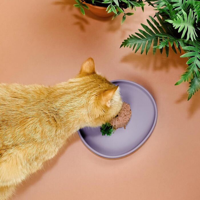 Миска для котів [nala Collection] - широка силіконова миска для корму | миска для котячого корму | силіконова тарілка для котів (холодний ліловий)