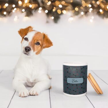 PICANOVA Набір мисок та контейнерів для корму для собак з іменем - Персоналізований набір у різдвяному дизайні - Керамічний набір мисок та контейнерів для собак як подарунковий набір для власників домашніх тварин - Дизайн Candy Bones (Набір Рибка та Кістк