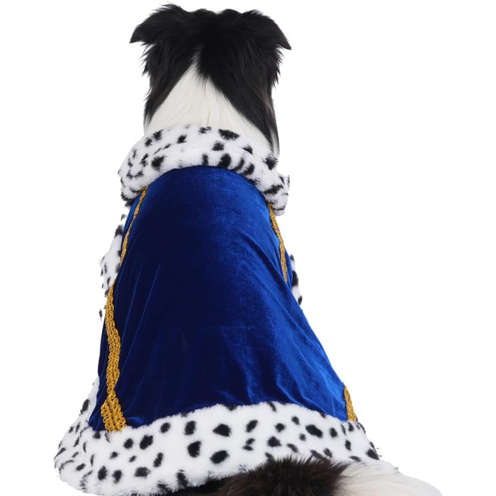 Розкішний мантія Lovelyhop для котів та собак, карнавальний костюм на Halloween, королівський, принц, принцеса, для котів та собак (M, світло-блакитний)
