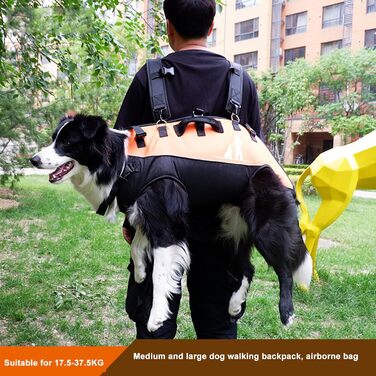 Рюкзак для собак L&Y Jewelry Hundetrage: переноска для собак вагою 15-40 кг, регульований, для собак з артритом та проблемами суглобів