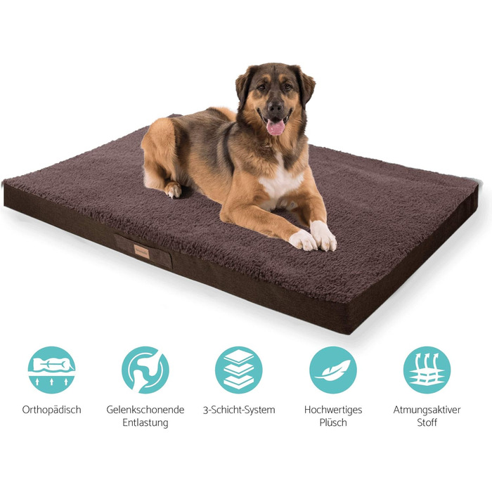 Баллу: Ортопедичне ліжко для собак, XXL (120x100 см), коричневе, з пам'яті ефекту, миється, не слизьке, з м'яким килимком