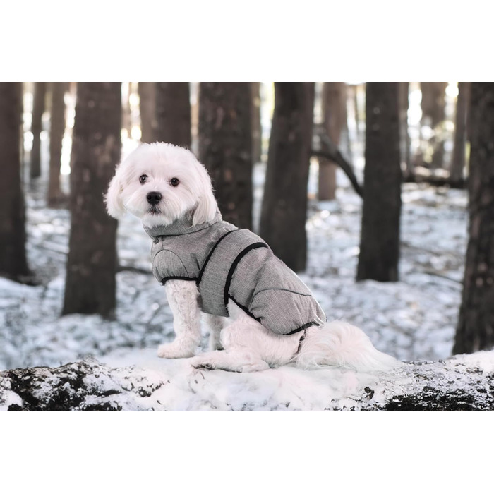 Шлейка для собак Flamingo Hundemante Winter – Igu, 50 см, тепла та модна, поліестер, водовідштовхувальна, ізотермічна, з відбиваючими елементами, захист грудей та живота, отвір для повідка (Сірий, XXS)