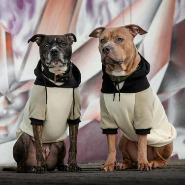 Собачий худі Spark Paws Olive Cream S – преміум якість, м'який фліс, комфорт, для всіх порід