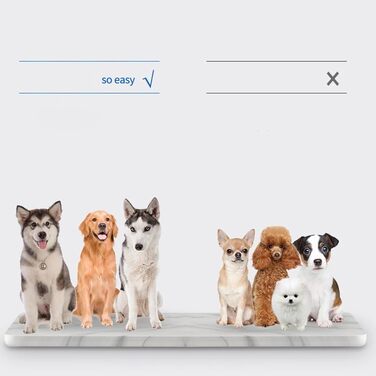 Електричний точилка для кігтів собак, 2 швидкості, USB-зарядка, для великих порід