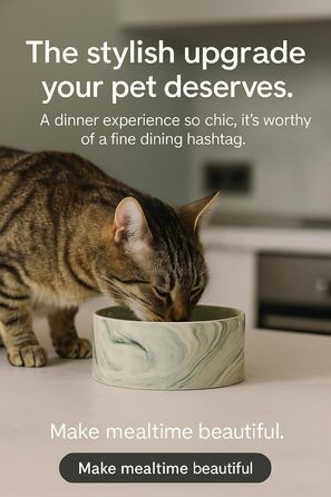 Миска для собак Flamingo Keramik, 1.2л, зелена, велика, для великих собак, миска для собак, велика, миска для собак, керамічна, велика, миється в посудомийній машині