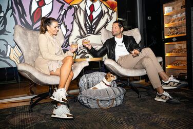 Сучасна переноска для собак Flying Dog Baily 3-в-1: сумка, автокрісло та переноска для маленьких собак до 10 кг (сіра)