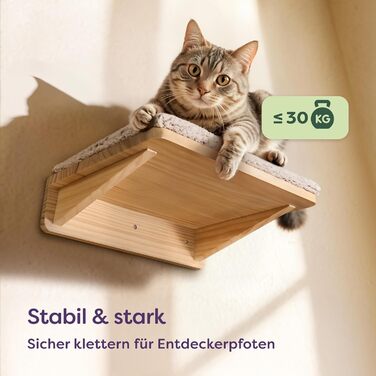 Комплект для котячого комплексу Knupis: Кліматична стіна з ліжком та 2 сходинками – Масивна деревина FSC® з сосни, стійка платформа до 30 кг – Для ігор та відпочинку - Бежевий