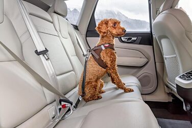 Ремінь безпеки для автомобіля V2 L Large