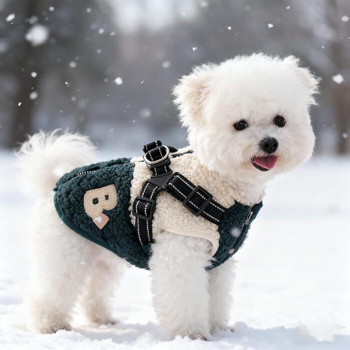 Зимовий теплий одяг для собак, водонепроникний, з підкладкою, з отвором для шлейки, для холодної погоди, для маленьких та середніх собак, зелений/білий