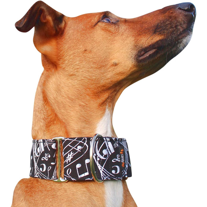 Нашийник для собак CandyPet® Martingale Music, S, ширина 4 см, розмір шиї 25-35 см