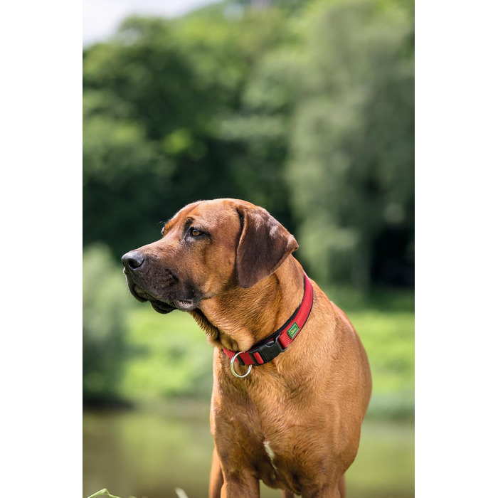 Нашийник для собак HUNTER Neopren Vario Plus, червоно-чорний, розмір L/2.5, міцний нейлон, м'яка неопренова підкладка, регульований, з поглиначем ривка, зручний, легкий у догляді