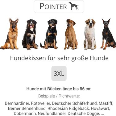 Pointer Urban ортопедичне ліжко для великих собак 90x80 см, антрацит, пране при 95°C, без запаху, міцне, для дому та вулиці, Німеччина