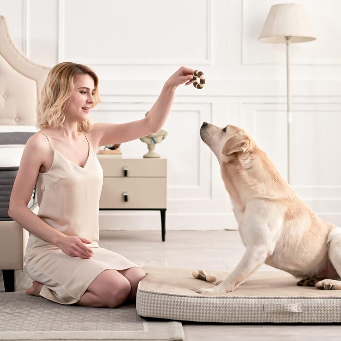 Крісло-ліжко для собак великих порід, бежеве: м'який матеріал, знімний та водонепроникний чохол, двошаровий наповнювач (Gel Memory Foam + губка), антиковзаюча підставка, розмір Jumbo (47x29x3.54 см)