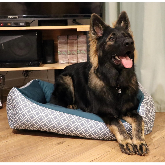 4L Textil OTTO: Лежанка для собак, корзина для собак, м'яке ліжко для собак, лежанка-софа, колір - блакитний (100x80 см)
