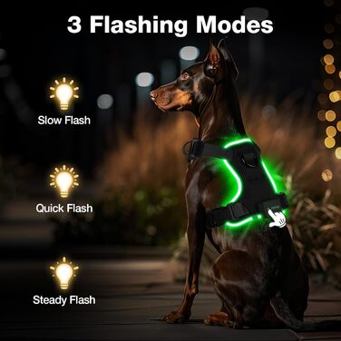Світловідбиваючий нашийник для собак великих порід Feycig з LED підсвічуванням, акумуляторний, регульований, 3 режими освітлення, висока видимість (Чорний, Large)