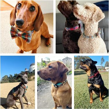 Іменний нашийник для собак з металевою застібкою: персоналізовані нашийники з гравіюванням імені, телефону та адреси, в клітинку