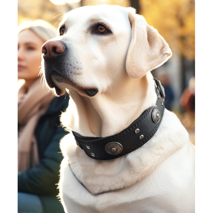 Нашийник для собак з натуральної шкіри, 5 см, чорний, розмір M (46.5-57.5 см)