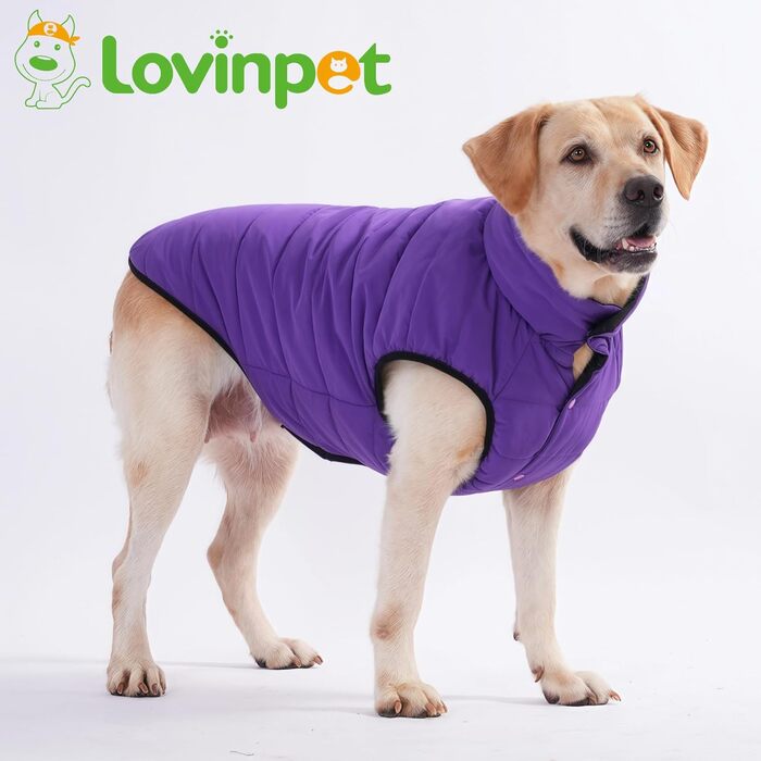 Зимова куртка для собак LovinPet, двостороння, розміри M, L, XL, з кнопками, пухова, вітронепроникна, снігонепроникна та водонепроникна, темно-зелена та сіра