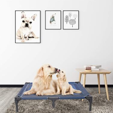 Підвищені лежанки для собак Suddus, червоні, розмір M (великі, червоні) (91x58x16 см, синій)