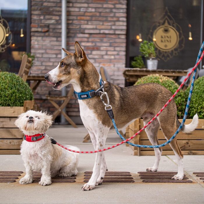 Повідок-водилка DOG Copenhagen Urban Rope, розмір S, колір мокко