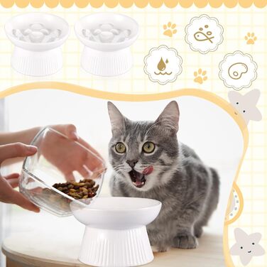 Підвищені миски для котів Layhit з кераміки, проти блювоти, повільне годування, для сухого та вологого корму, кошенята, для дому, 2 шт (Білий/розкішний сад)