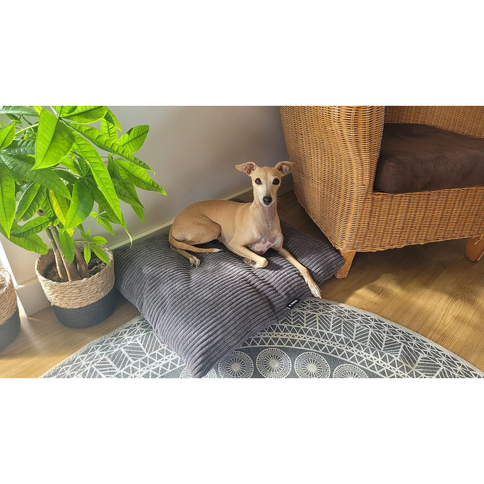 М'яке та затишне ліжко для собак 4L Textil ZOE, великі породи, 60x50 см, сірий (смужки), знімний чохол на блискавці