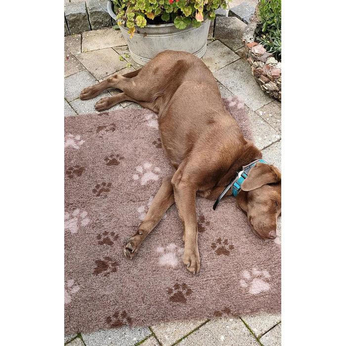 Підстилка для собак Drybed, розмір 100x80 см, коричнева, антиковзаюча, для відпочинку та сну