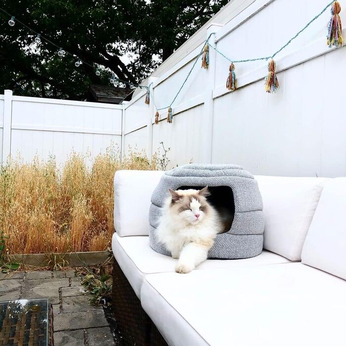 Meowbile будиночок для котів у приміщенні 63,5×45,7×43,2 см, трансформується, довговічне котяче ліжко та печера, м'який сірий, складаний, легкий у догляді