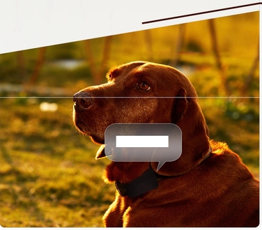 GPS-нашийник-локатор для собак з акумулятором 1200mAh, SOS-функція, керування через додаток, без абонплати