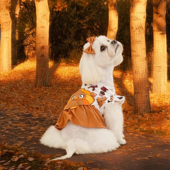 Костюм для собак 