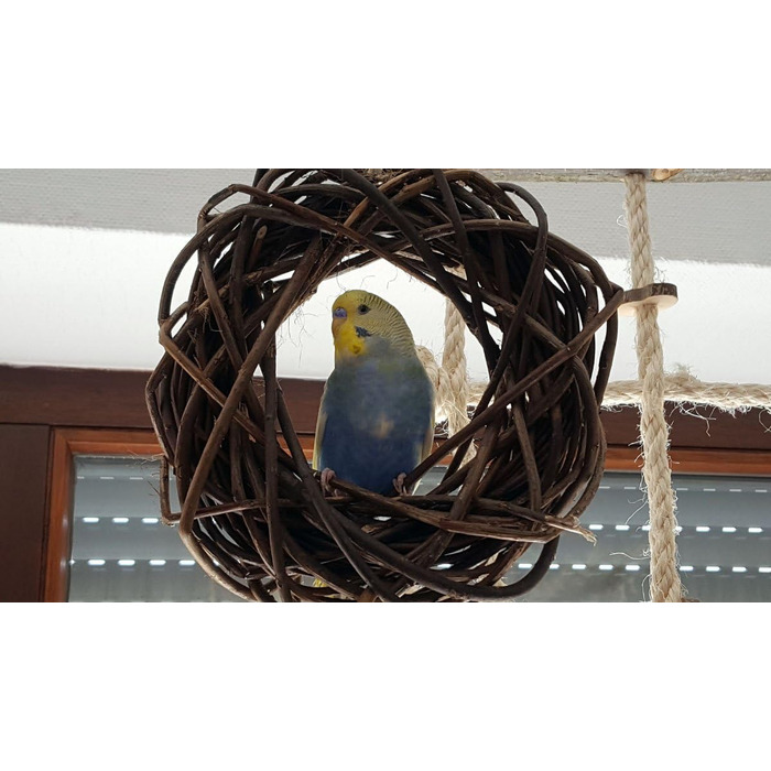 Два смачні дерев'яні кільця з лози для папуг, хвилястих та корел; плетіння з лози. Іграшка для птахів у клітку, вольєр. Ігровий майданчик для птахів для підвішування. 2 дерев'яні кільця 2.0