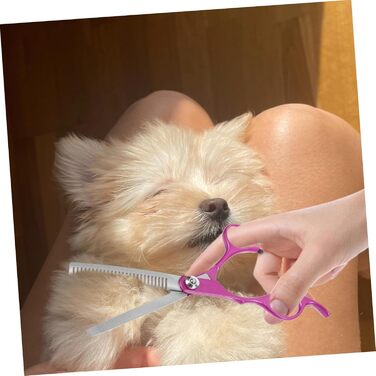 Професійні ножиці для грумінгу собак Milisten: високоякісні інструменти для догляду за шерстю собак та котів з нержавіючої сталі