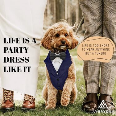 Елегантний собачий смокінг для свят: весілля, день народження, Хелловін, Косплей, Різдво. Комплект з краваткою для собак середніх та великих розмірів (L, обхват грудей 60-88 см). Синій смокінг + чорна краватка