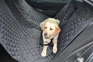 Автоматичний захисний килимок для собак Tierlando MAX, 160x180x200 см, розмір SM, колір графіт