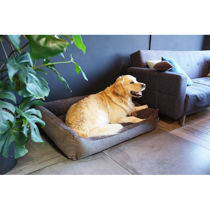 4L Textil Teo: М'яке ліжко для собак, корзина для собак середнього розміру, знімний та пральний чохол (100x80 см, Коричневий)