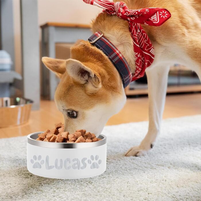 Персоналізований миска для собак та котів - нержавіюча сталева годівниця з іменем, антиковзаюча миска для собак та котів, поїльник для води (білий)