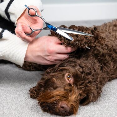 Професійна вигнута ножиці Masterclip Essentials для лівшів, 19,1 см, з високоякісної нержавіючої сталі