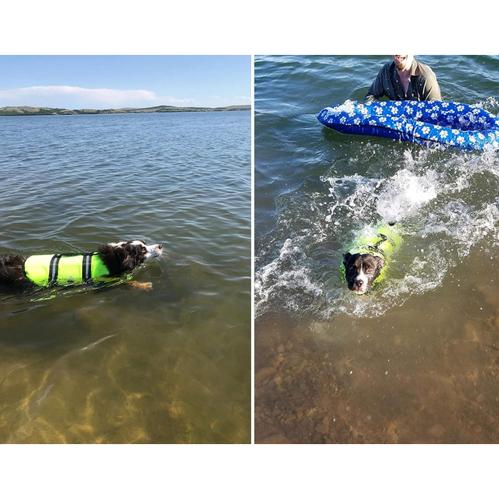 Світшот для собак Snik-S з світловідбиваючими смугами та регульованим поясом, жилет для плавання для собак з короткою мордою (Мопс, Бульдог, Пудель), розмір L, колір зелений