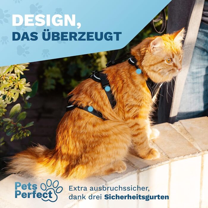 Шлея для котів Pets Perfect XS, посилена, з повідцем – безпечна прогулянкова амуніція для котів, анти-втеча