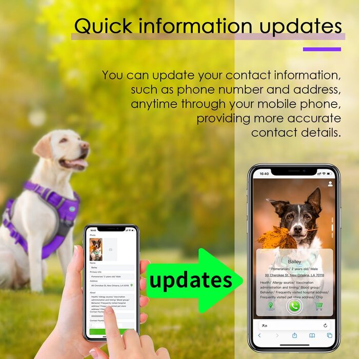 ThinkPet Анти-задушлива шлейка для собак, дихаюча, спортивна, з QR-кодом, ідентифікаційною биркою, світловідбиваюча, з ручкою, регульована, для середніх і великих собак, задній/передній кріплення