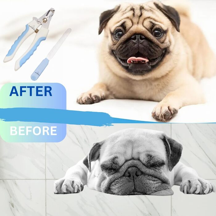 Набір для стрижки та підпилювання кігтів для собак та котів H&A Petcare, професійний, для всіх порід та розмірів, компактний, блакитний