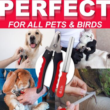 Кліпер для нігтів собак OCBA з захистом від перерізання та пилочкою, професійний, для всіх порід, також для котів та кроликів, червоний/чорний, маленький