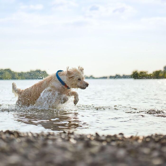 Нашийник для собак HUNTER OSS, петроль, L-XL, мотузка, карабін, морський стиль
