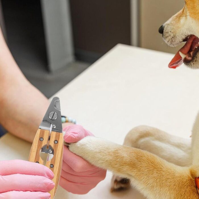 Ножиці для догляду за тваринами Happyyami: безпечні ножиці для собак та котів, ергономічний дизайн