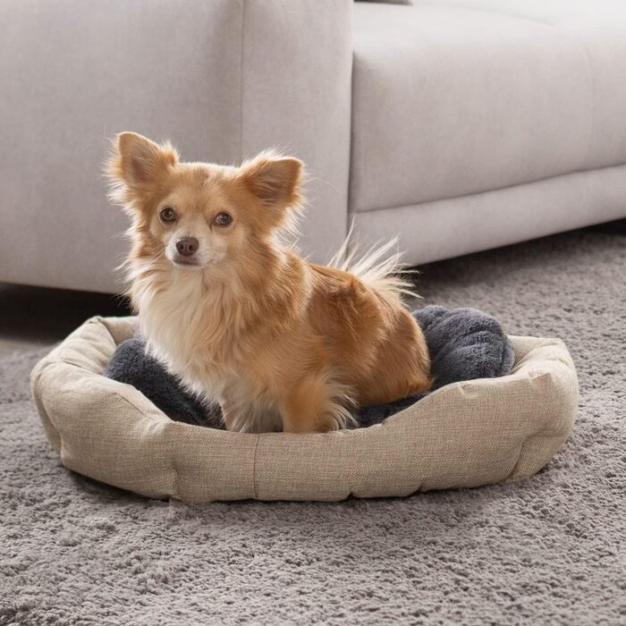Крісло-ліжко для собак Octagon з знімним та пральним подушкою, бежеве