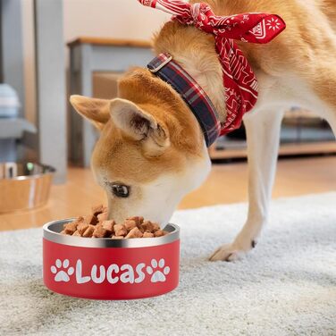 Персоналізований миска для собак та котів – нержавіюча сталева годівниця з іменем, протиковзна миска для собак та котів, поїльник (червоний)