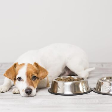 Набір з 8 мисок для собак з нержавіючої сталі, годівниця для домашніх тварин з гумовою основою, миска для корму та води для собак, котів та інших тварин